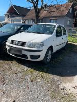 Fiat punto erdgass export Bayern - Lindau Vorschau