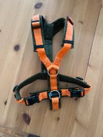 anny x dog harness in orange - XS Friedrichshain-Kreuzberg - Friedrichshain Vorschau