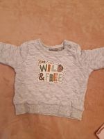 Babykleidung Pullover Bremen - Woltmershausen Vorschau