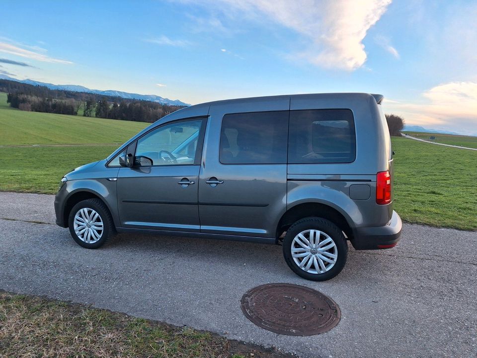 Volkswagen Caddy PKW  4Motion Allrad. in Stephanskirchen