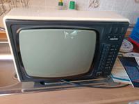 DDR Kofferfernseher Sachsen - Großröhrsdorf Vorschau