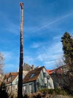 Baumfällung Heckenschnitt Gartenpflege Gartenhilfe Hessen - Lauterbach (Hessen) Vorschau