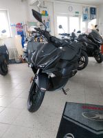 Kymco Super 8 R der ultimative neue Sportroller € 129,- gespart München - Trudering-Riem Vorschau