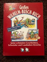Wilhelm Busch Buch Schleswig-Holstein - Gülzow Vorschau