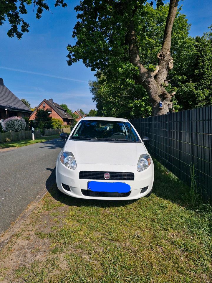 Fiat Punto in Gnarrenburg