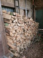 Kaminholz Brennholz 12-15 Meter Niedersachsen - Holzen Vorschau