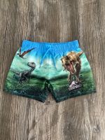 Badehose Badeshorts 92 H&M Jurassic World Baden-Württemberg - Aglasterhausen Vorschau