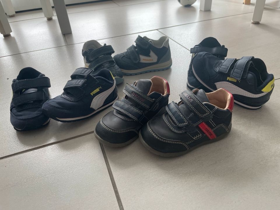 Sneaker, Turnschuhe (Geox, Puma, primitiv) Gr. 21 + 22 in Pegau