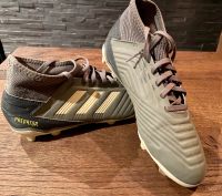 Adidas Predator Fußballschuhe Gr. 37 1/3 Rheinland-Pfalz - Idar-Oberstein Vorschau