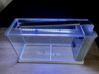 Fluval Spec 5 Nano Aquarium,21L, Garnelen Becken mit Zubehöre Dortmund - Westerfilde Vorschau