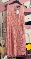 Damen Kleid Fit & Flare Dress Sommerkleid Partykleid Gr. 38 M NEU Hamburg Barmbek - Hamburg Barmbek-Süd  Vorschau