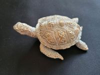 Schildkröte, Gold-Weißton, wunderschöne Deko Nordrhein-Westfalen - Hennef (Sieg) Vorschau