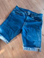 Carhartt kurze Hose Shorts Schleswig-Holstein - Rendsburg Vorschau