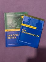 Der Schimmelreiter Text und Lektüreschlüssel Schleswig-Holstein - Kiel Vorschau