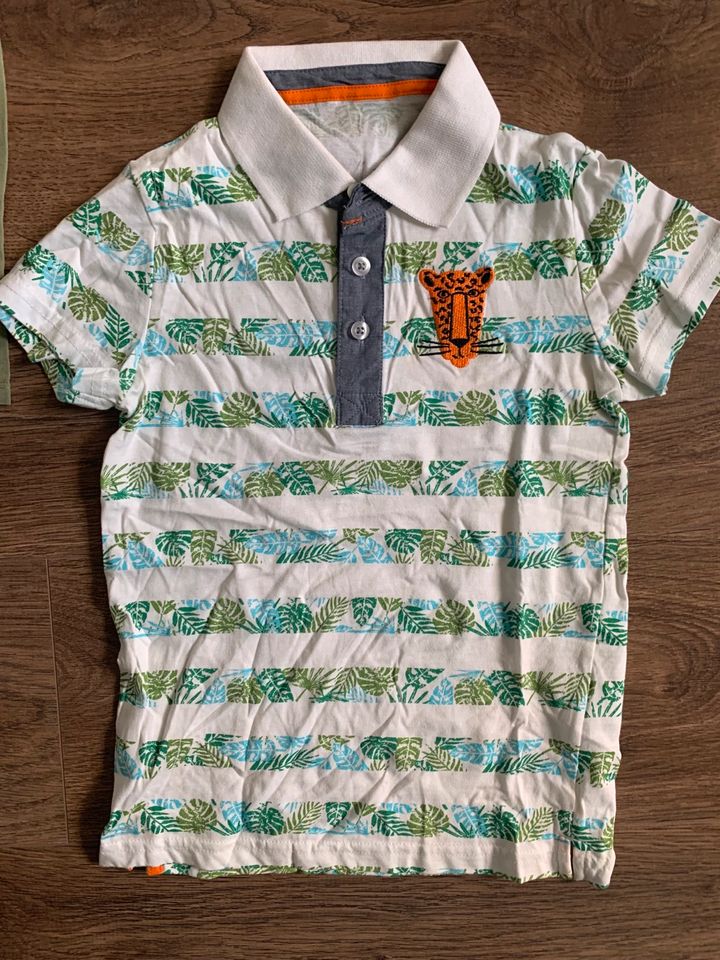 Jungen T shirt Tshirt set Löwew Palme bunt h&m in Barmstedt