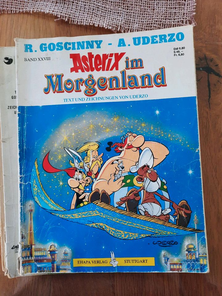 Asterix und Obelix Comic in Südlohn