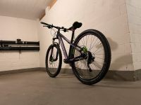 Haibike LT 7.30 27,5 Zoll Mountainbike  Freeride Fully Bergedorf - Hamburg Billwerder Vorschau