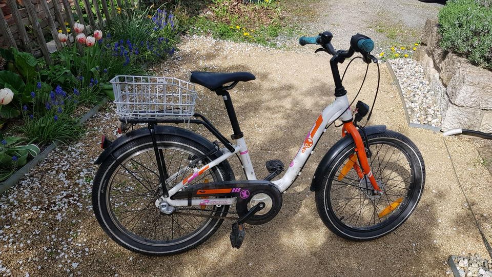 Kinderfahrrad in Pirna