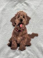 Pullover Hollister Puppy xXL Schleswig-Holstein - Bad Oldesloe Vorschau