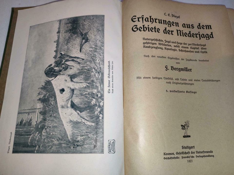 Erfahrungen auf dem Gebiete der Niederjagd 1921 in Floh-Seligenthal-Kleinschmalkalden