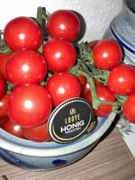 6x BIO *Miel du Mexique* Tomaten echte mexikanische Honigtomaten Hessen - Kassel Vorschau