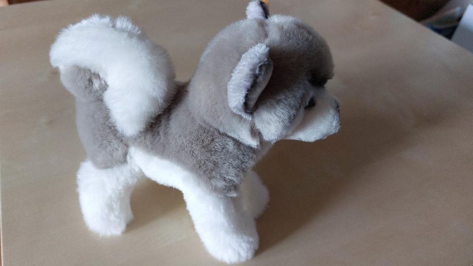 original Steiff Husky "Bernie"  *unbespielt" 17cm in Adelsried