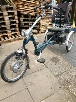 Van Raam Easyrider Dreirad mit elektro Antrieb Niedersachsen - Bremervörde Vorschau
