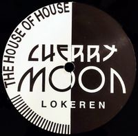 ⭐️1994 Hardtrance 12“⭐️Bonzai 94054 - Cherrymoon Trax - Trax I Bayern - Graben (Lechfeld) Vorschau