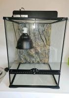 Exo terra terrarium Nordrhein-Westfalen - Schermbeck Vorschau