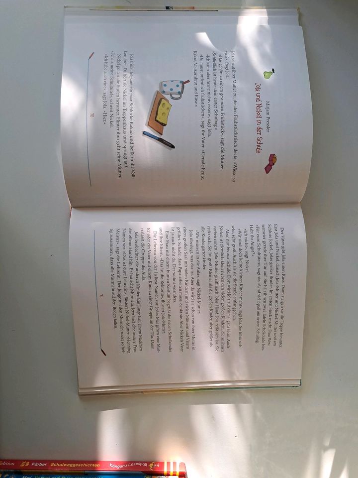 Schulanfanggeschichten Kinderbuch in Hannover