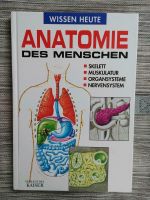 Lehrbuch Anatomie Sachsen - Otterwisch Vorschau