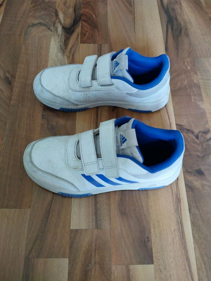 Sneaker gr 37,5 Adidas in Sachsenheim