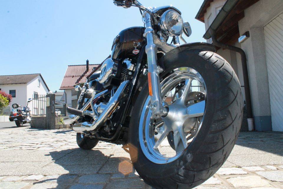 2. Hand Harley Davidson Sportster 1200 Custom Anniversary 110 th in Höhenberg i. T.