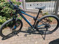 Mountainbike Bergamont Revox 5, blau, 29'' Zoll - NEU Hessen - Münchhausen Vorschau