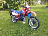 Honda XL 600 RM Keine XT, XR,TT, DR, KTM, KLR, KDX Heilbronn - Kirchhausen Vorschau