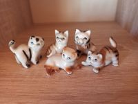 5er Set kleine Katzenfiguren aus Porzellan Bayern - Eching (Niederbay) Vorschau