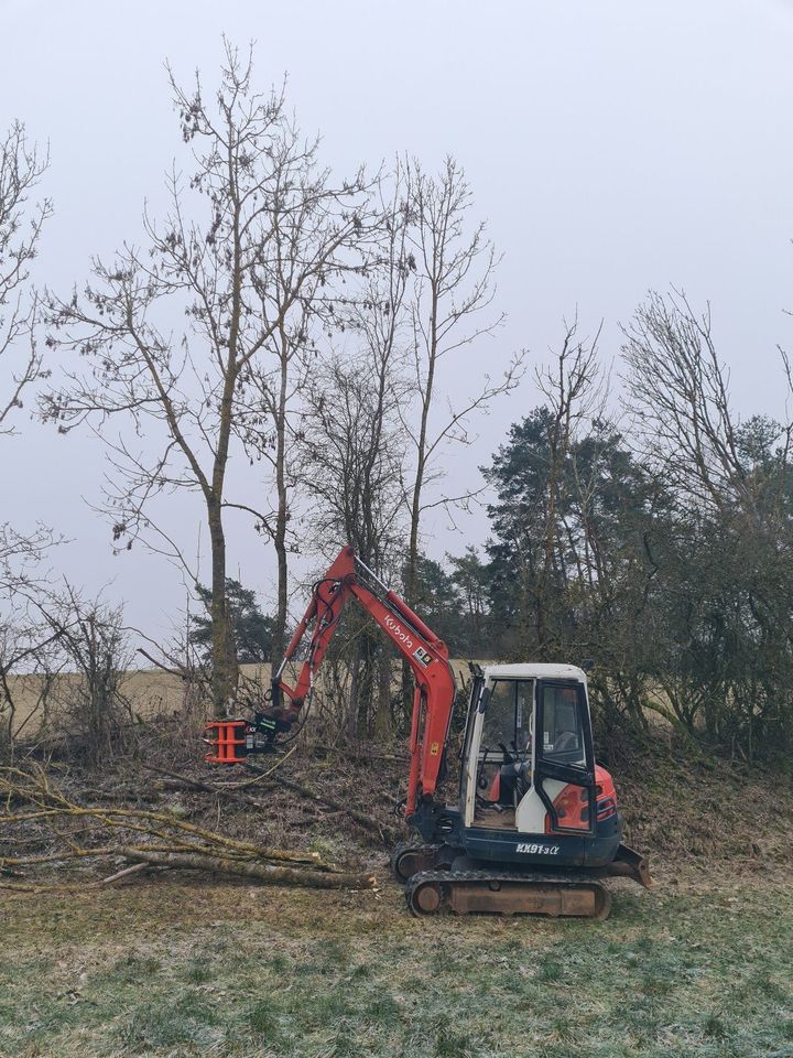 Baumfällung Rodung Heckenpflege in Auerbach in der Oberpfalz