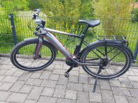 E bike liv thrive e+ ex pro 2021 500 Watt Giant 80 Nm Damen Nürnberg (Mittelfr) - Südoststadt Vorschau