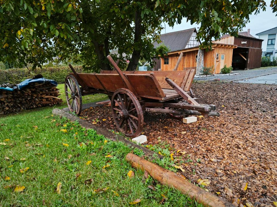 Holzwagen antik  in gutem Zustand in Eschau