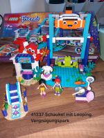 Lego friends 41337 Vergnügungspark Schaukel Nordrhein-Westfalen - Horn-Bad Meinberg Vorschau