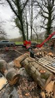 Lohnspalten, Sägespaltautomat, Brennholz aufarbeiten Bayern - Nordheim vor der Rhön Vorschau