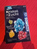 Kosmos Kristall Zucht neu Nordrhein-Westfalen - Augustdorf Vorschau