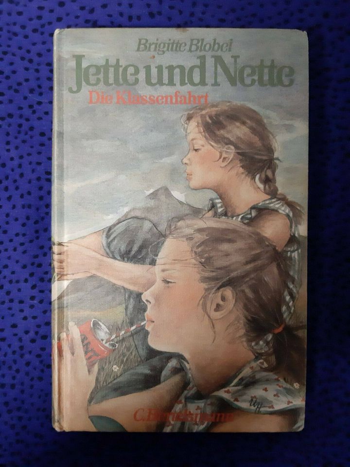 Jette & Nette * Mädchenbuch * 1981 * in Wörth am Rhein