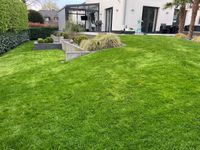 Gartenservice | Gartenpflege und Hausmeister Hessen - Dietzenbach Vorschau