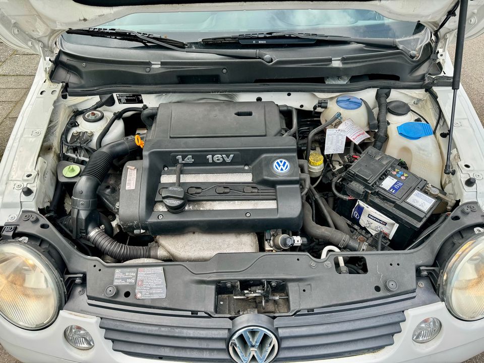 VW Lupo 1.4 16V Automatik *2.HD*REIFEN NEU*TÜV NEU*SERVICE NEU* in Köln
