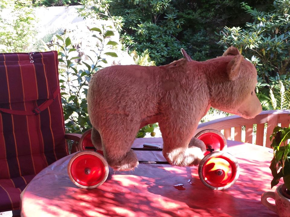 Steiff bär in Puchheim