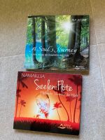 CD Entspannung Seelen Flöte Soul‘s Journey Schirmer Meditation Bayern - Waldkirchen Vorschau