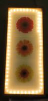 Dekobild / Bild 3 Blumen mit Beleuchtung, Holzrahmen, 72x32x3,3cm Sachsen - Thum Vorschau