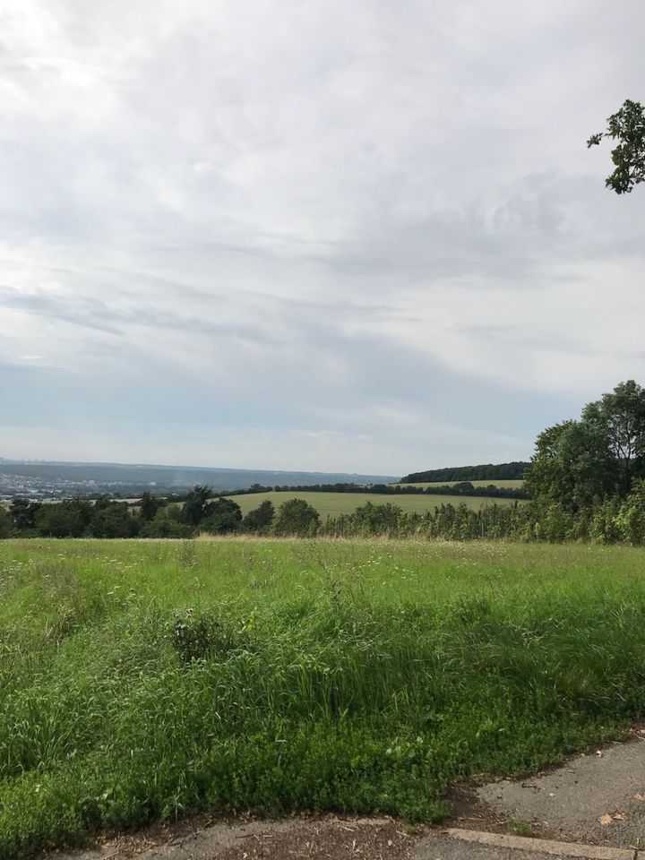 Wiesenfläche in Wiesbaden-Frauenstein, Kirchberg in Wiesbaden