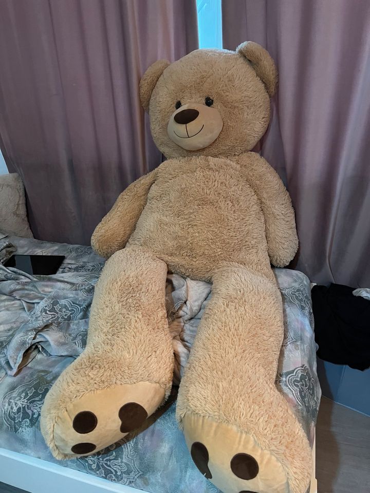 Riesen Teddy in Lübeck